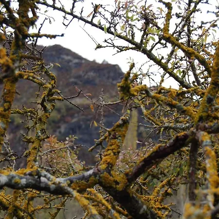 Un Rincon Especial En Vall De Boi Pla de l'Ermita Extérieur photo